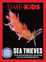 TIME for Kids - Age 8+ Family Edition